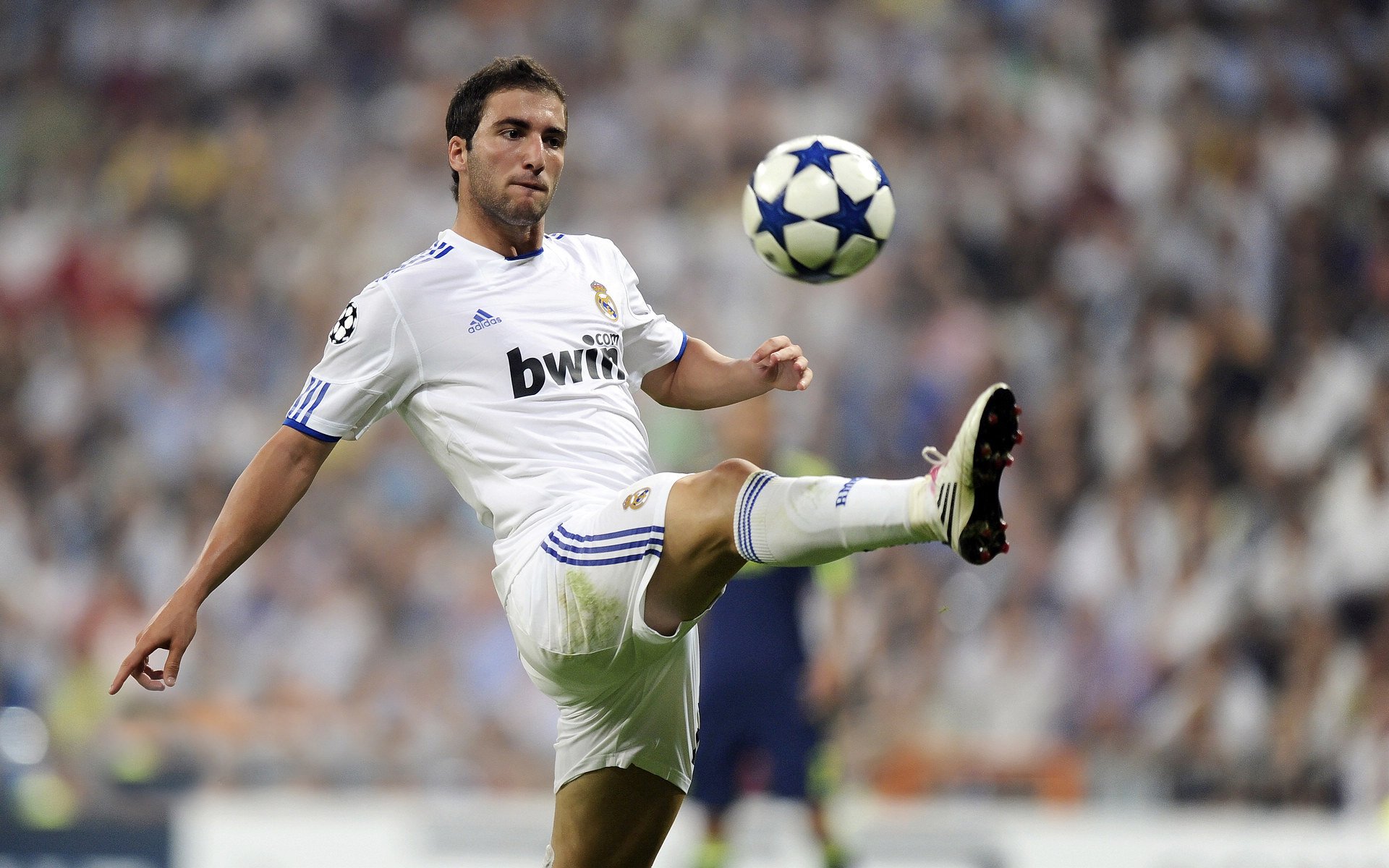 传统武艺光影秀：文化之美在运动中绽放